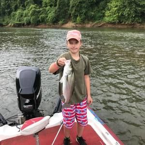 Meet your Posher, Mason